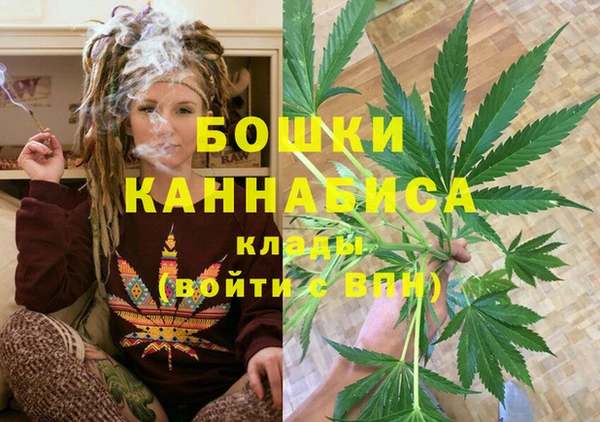твердый Алзамай