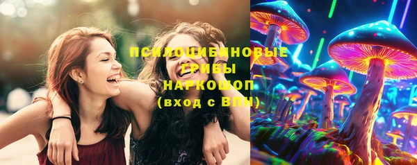 твердый Алзамай