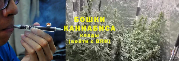 твердый Алзамай