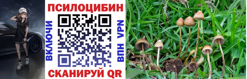 Галлюциногенные грибы мицелий  цена наркотик  Арамиль 